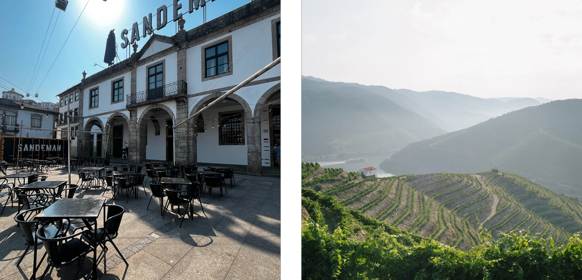 douro_processed.webp