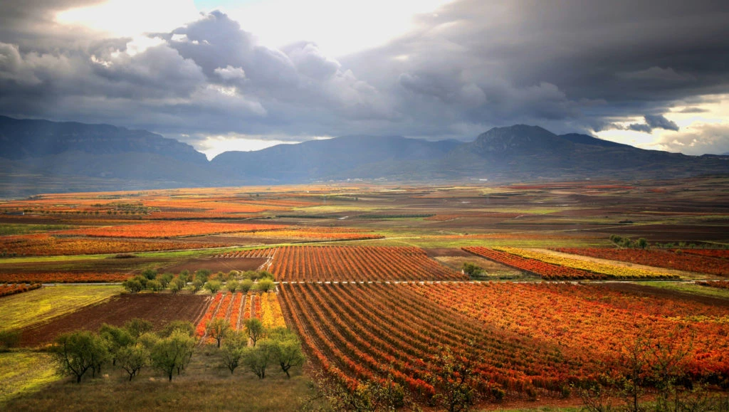 rioja.webp