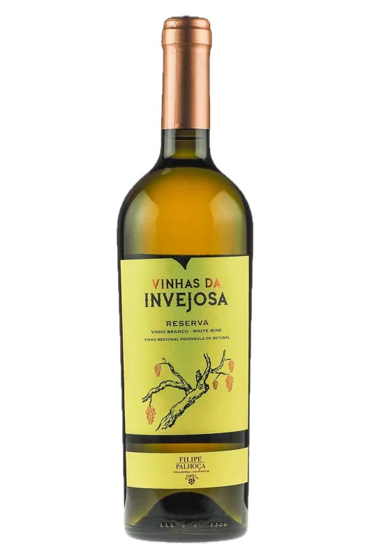 Filipe Palhoça Vinhas da Invejosa Reserva Branco 2023