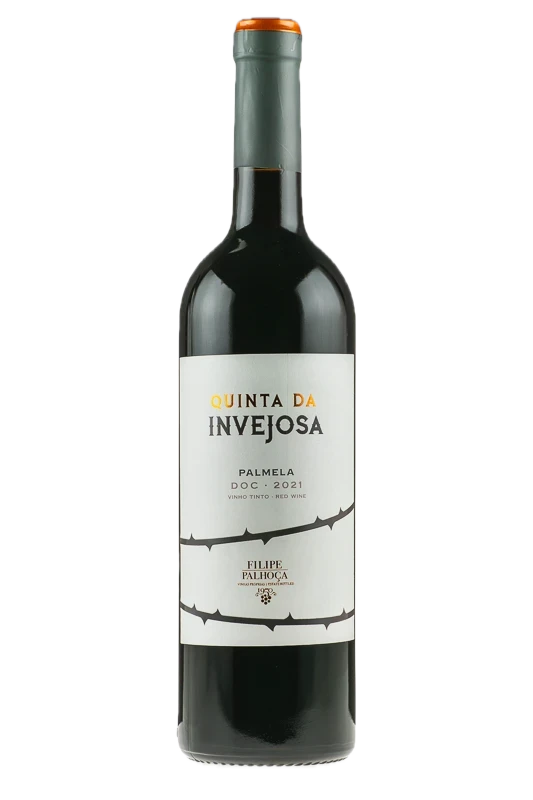 Filipe Palhoça Quinta da Invejosa Tinto 2021