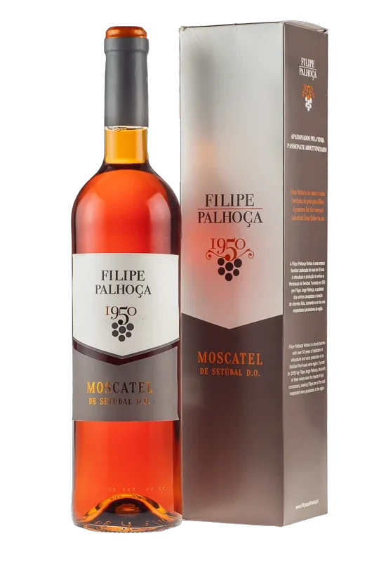 Filipe Palhoça Moscatel 2018