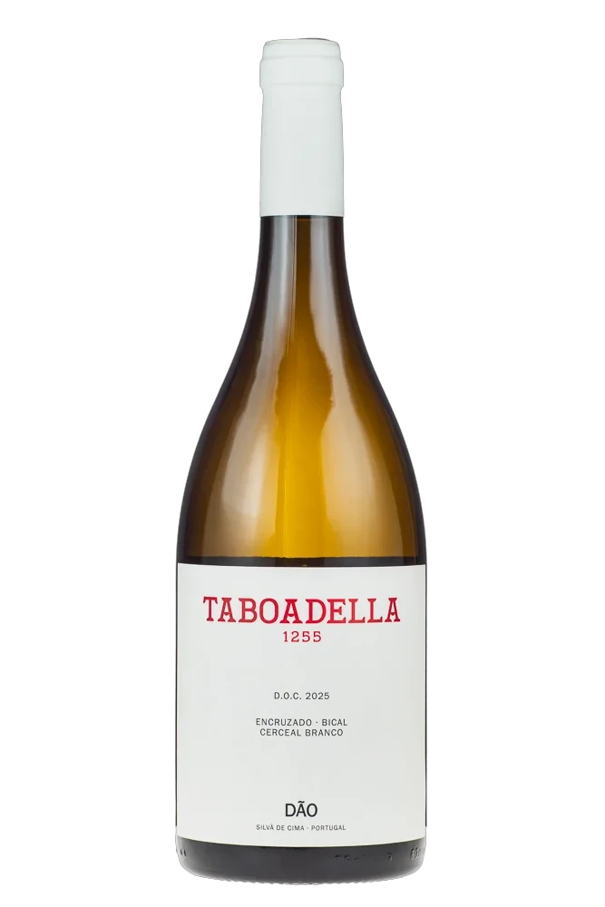 Taboadella Branco 2025