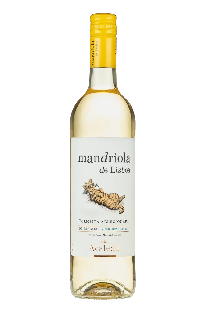 Mandriola de Lisboa Branco 2025